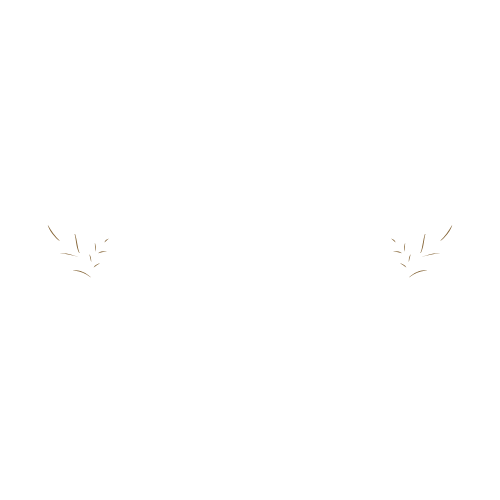 aurrorabeauty